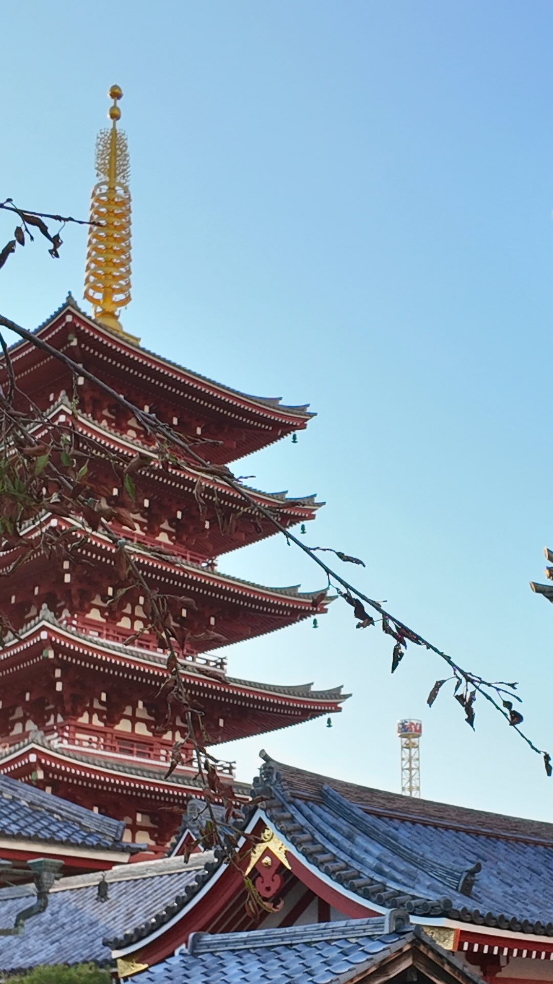 6 Places in Tokyo