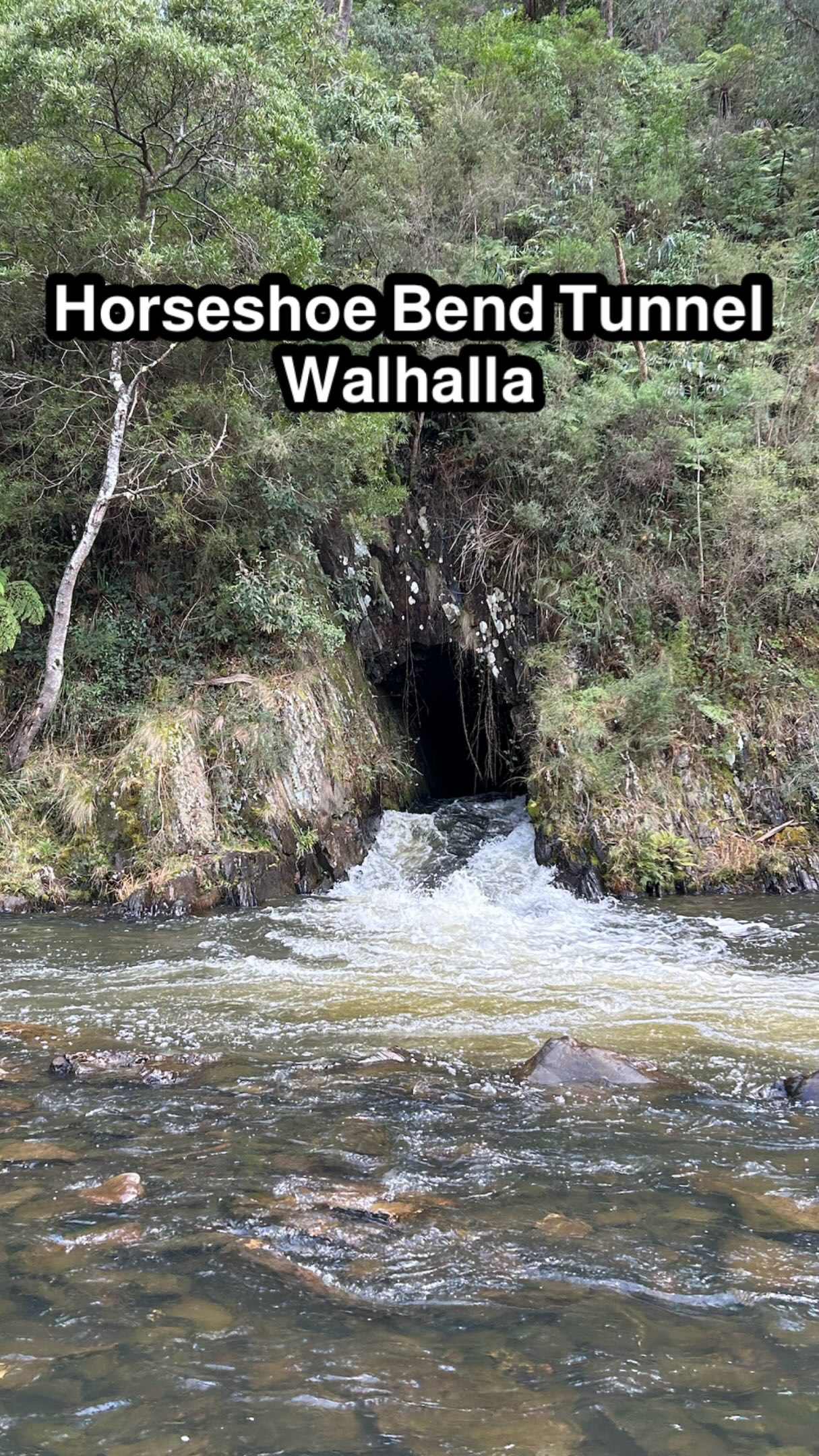 Scenic Tunnel Walks With River Access
