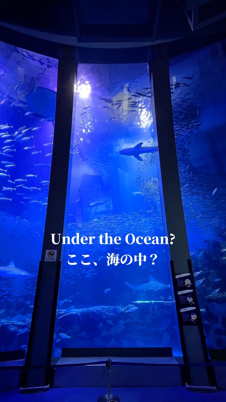 Yokohama Hakkeijima Sea Paradise Attractions