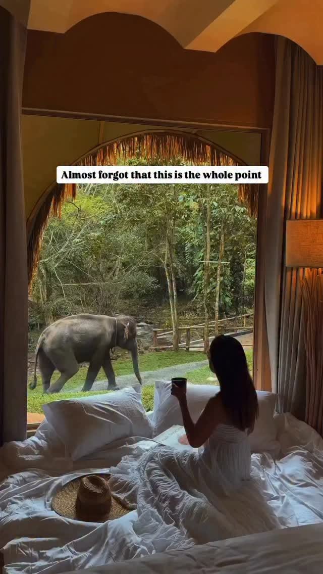 Chiang Mai Destinations With Elephant Encounters
