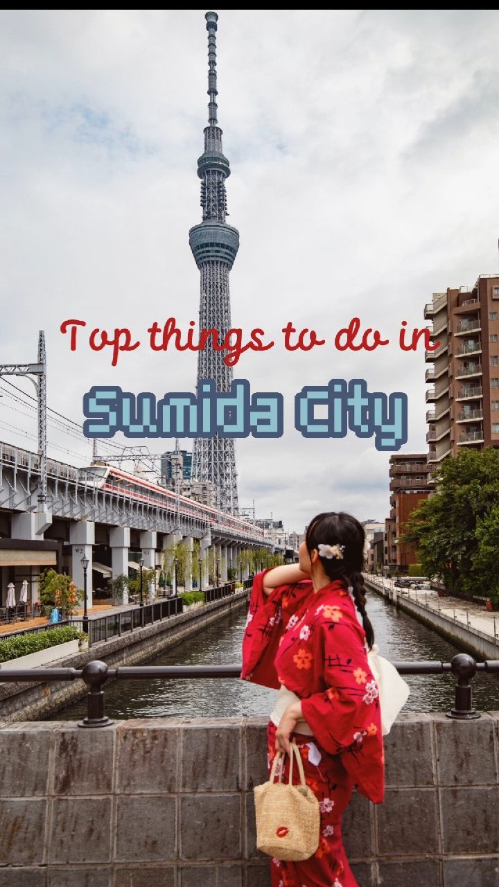 Sumida City Exploration: Skytree Views to Traditional Dining