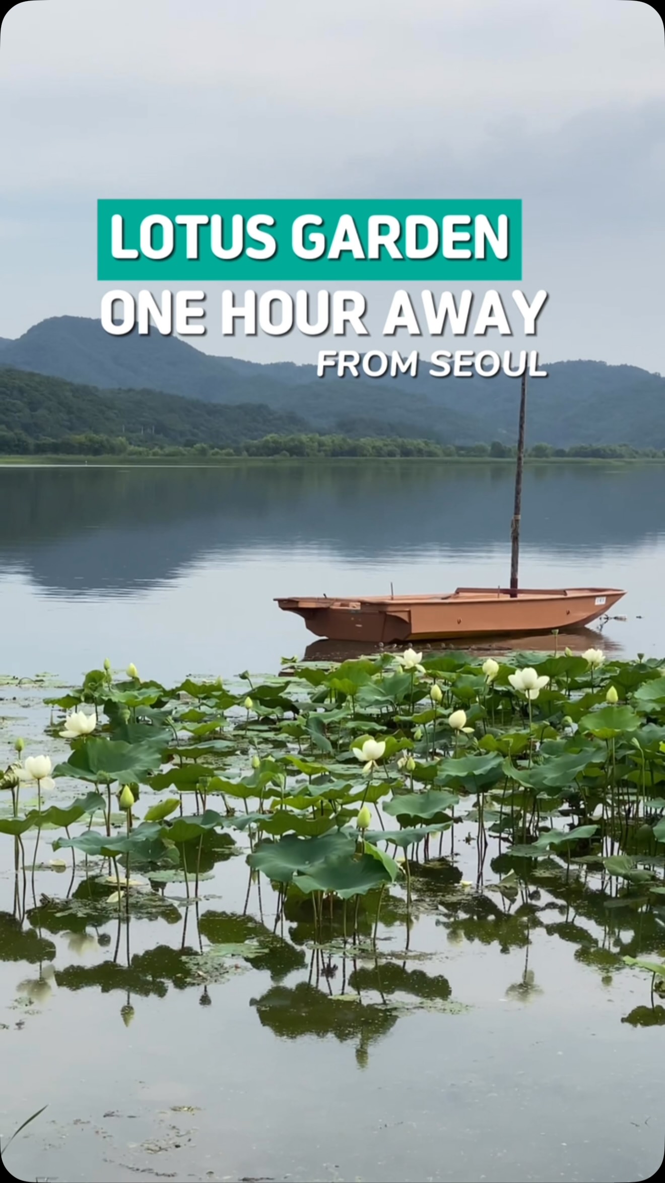 4 Parks in Gyeonggi-do
