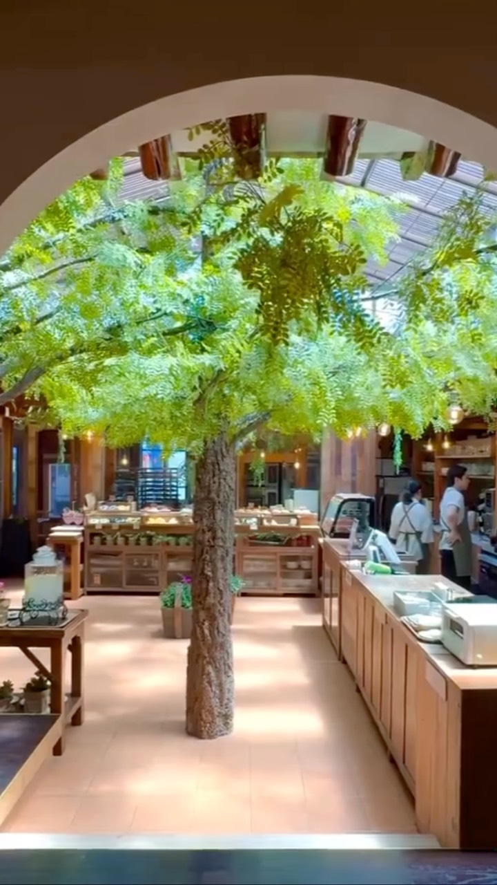 Seoul Cafe Offers Serene Greenery and Pastries