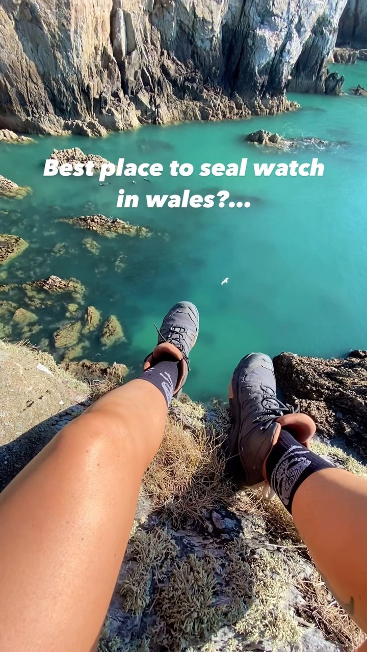 Anglesey's Coastal Wonders: Lighthouses, Cliffs, and Seals