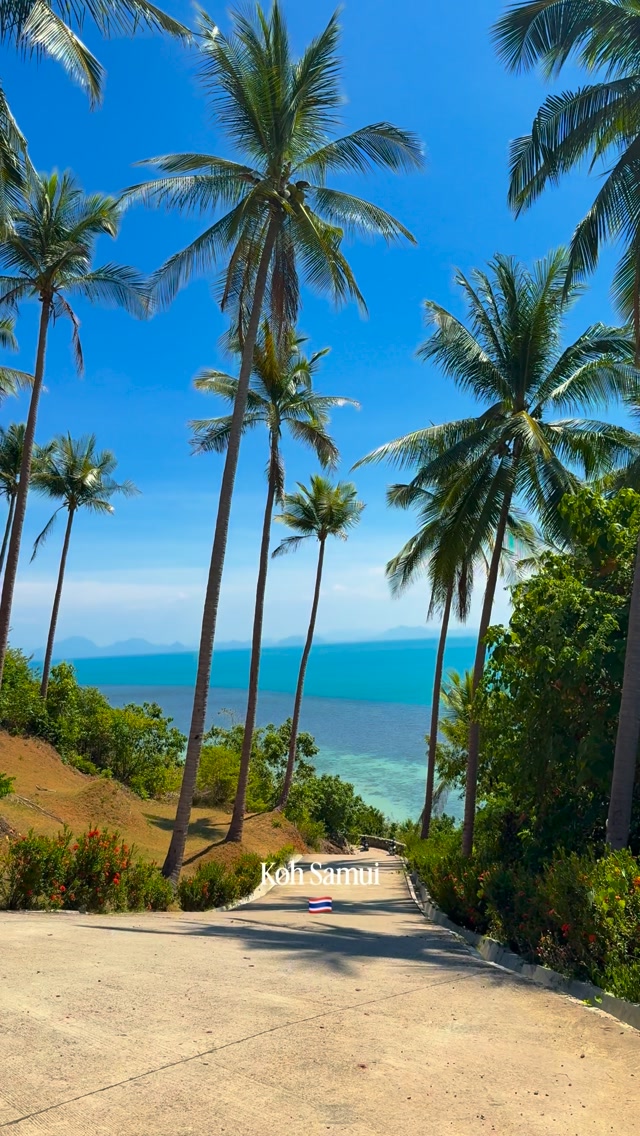 1 Attractions in Surat Thani
