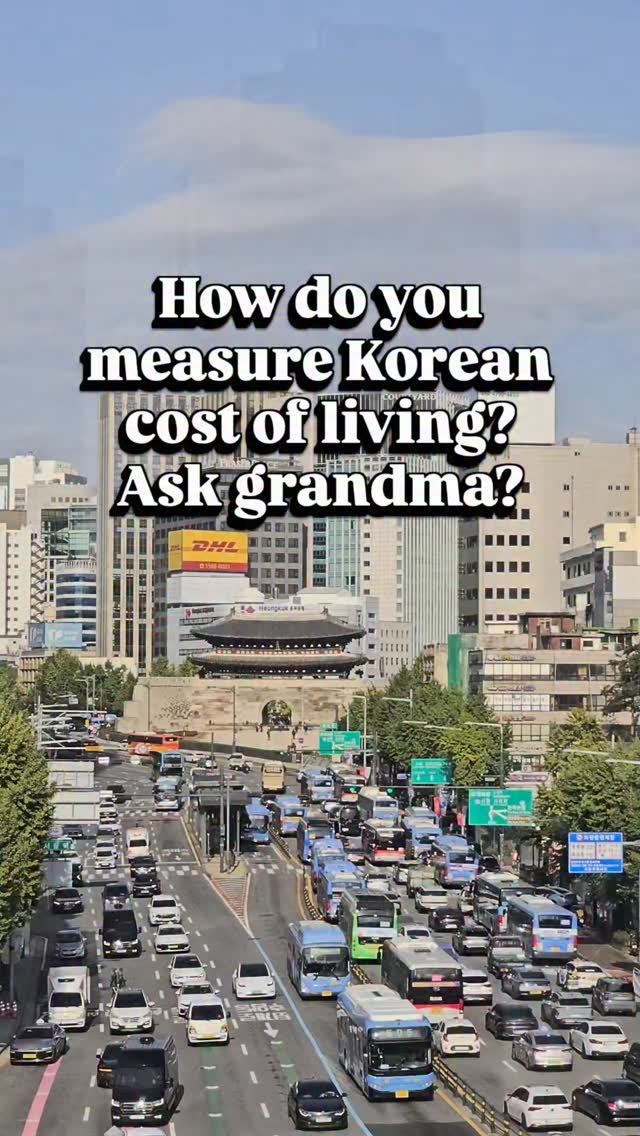 Seoul Cost Of Living: Grandma Vest Index
