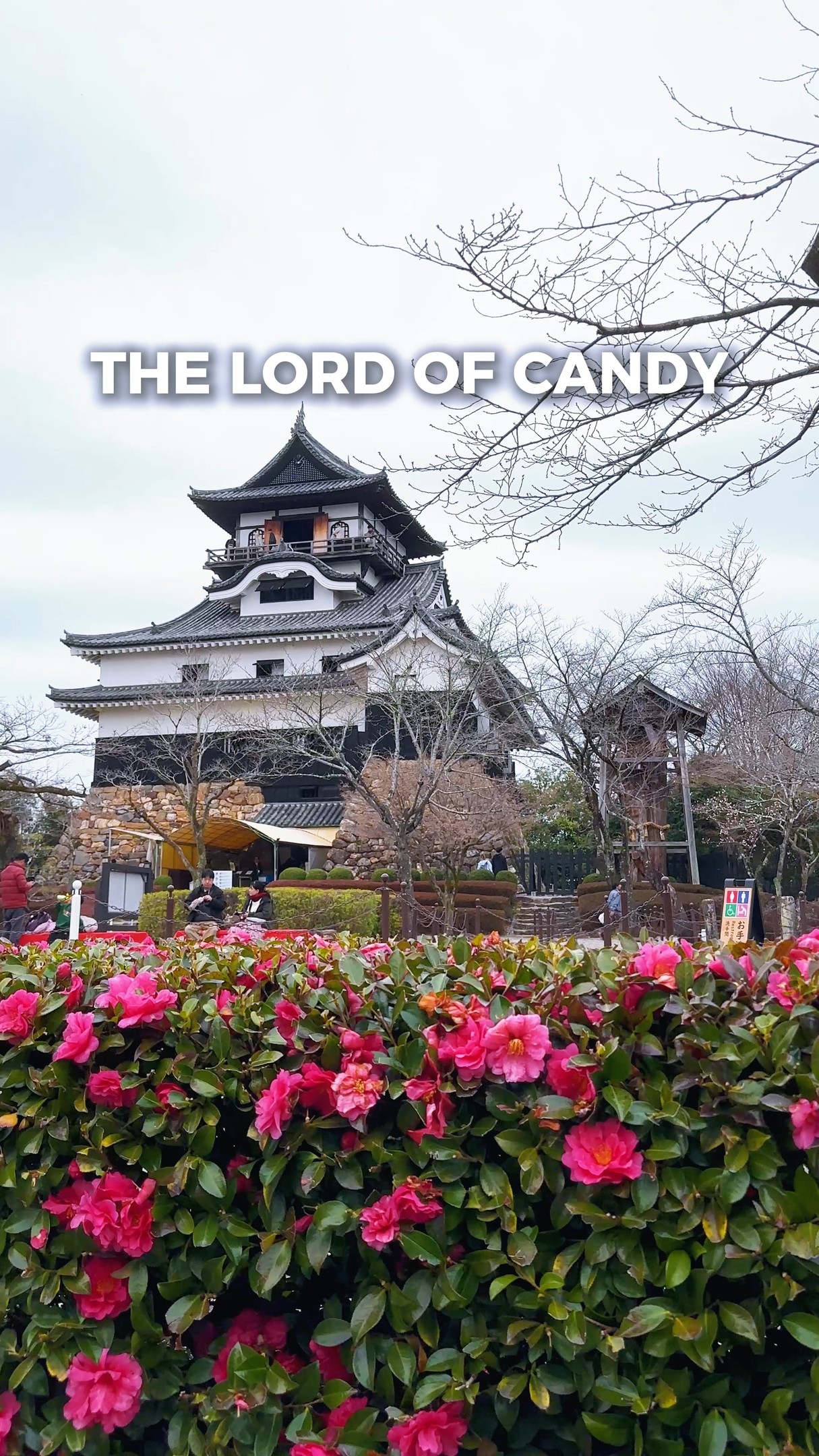 3 Attractions in Inuyama