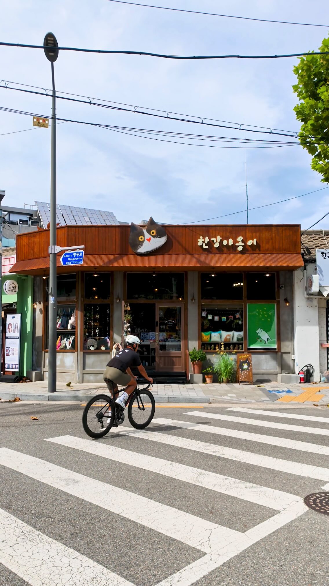 Cat-Themed Shop Near Mangwon Hangang Park