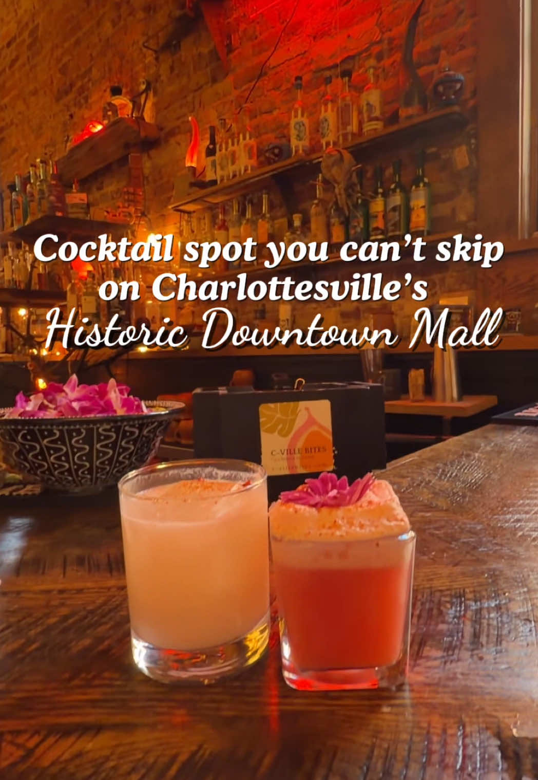 2 Landmarks in Charlottesville