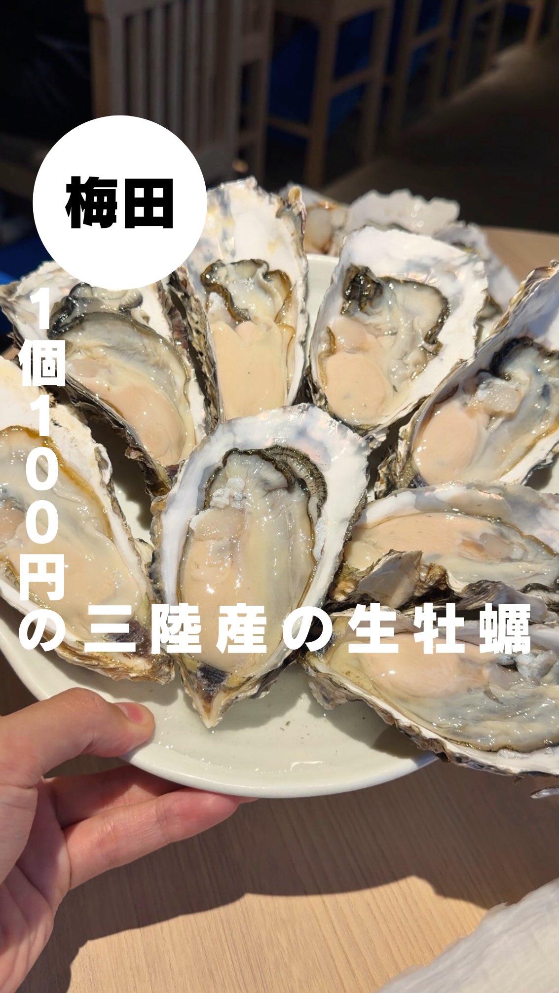 Osaka Restaurant Offers Fresh Oysters For 100 Yen