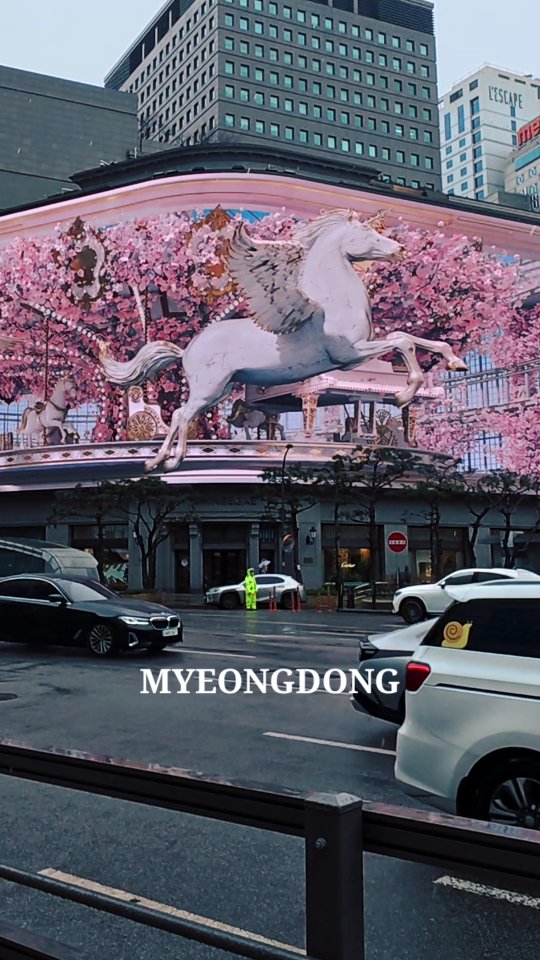 Myeongdong Shopping District and Duty-Free Stores