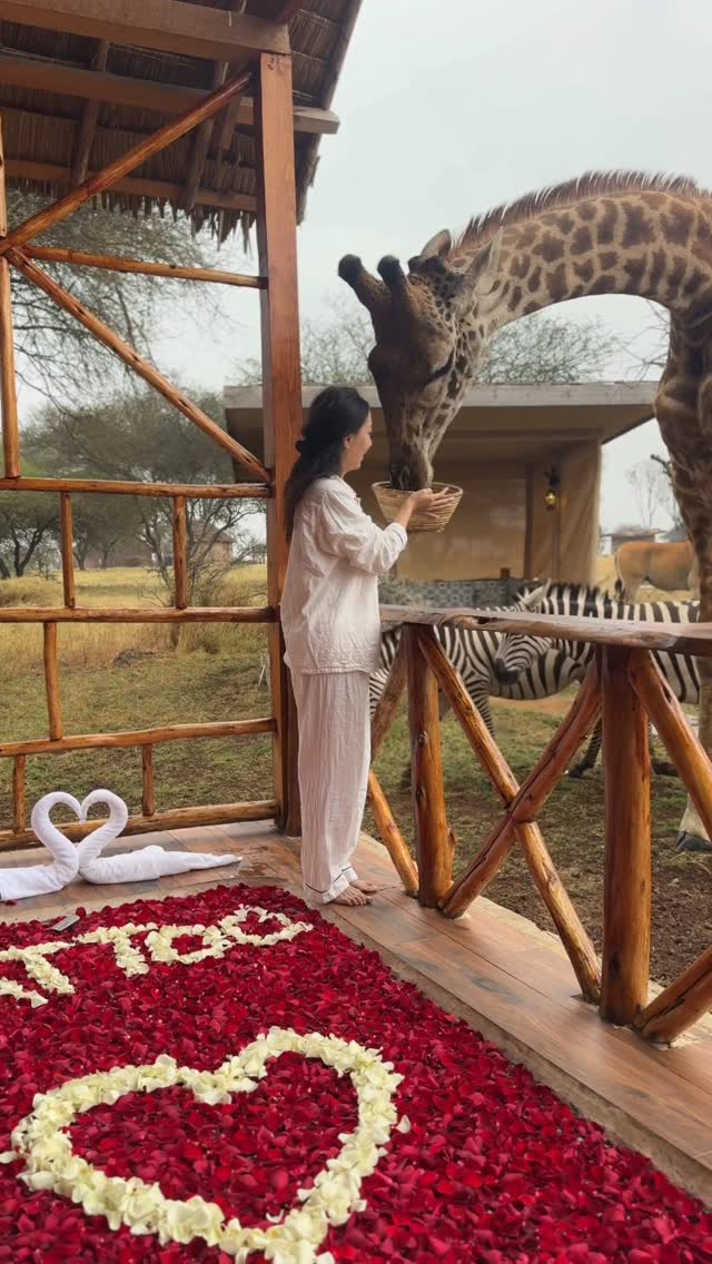 Wildlife Encounters and Jacuzzis in Tanzania