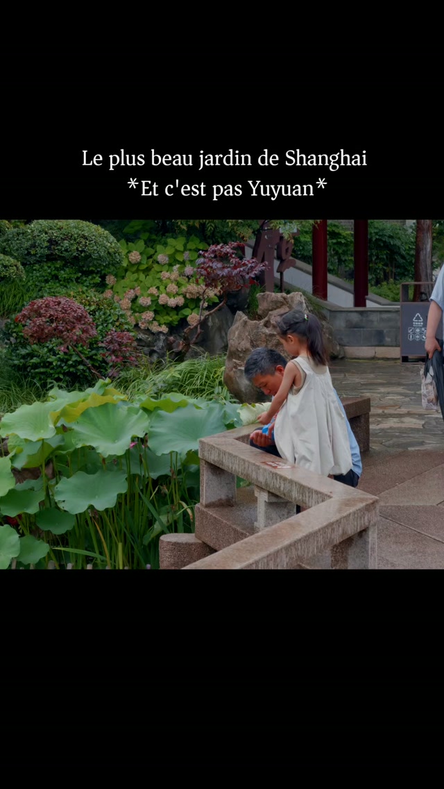 Guyi Garden: A Serene Shanghai Classic