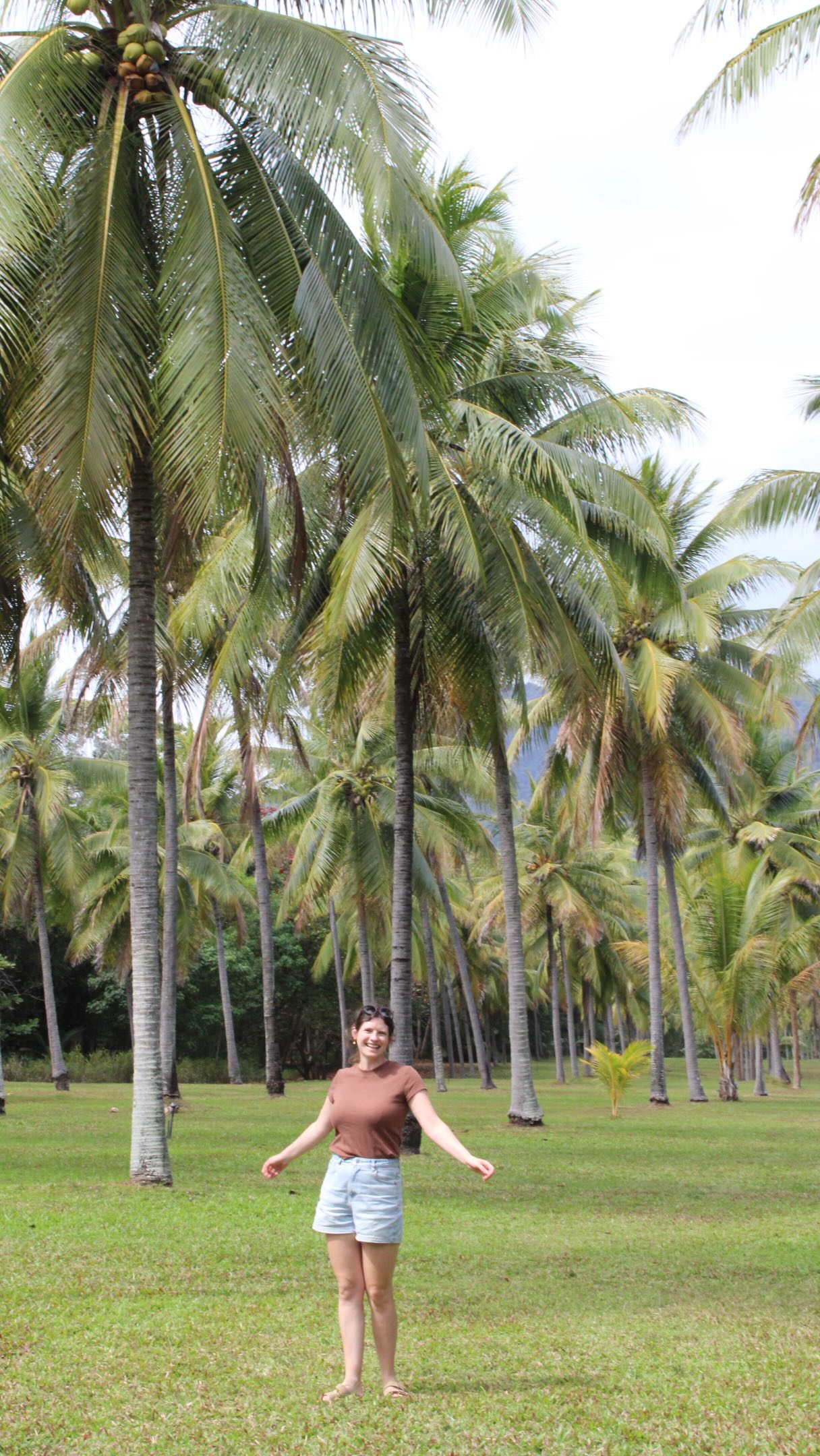 East Coast Australia Road Trip: Brisbane To Cairns