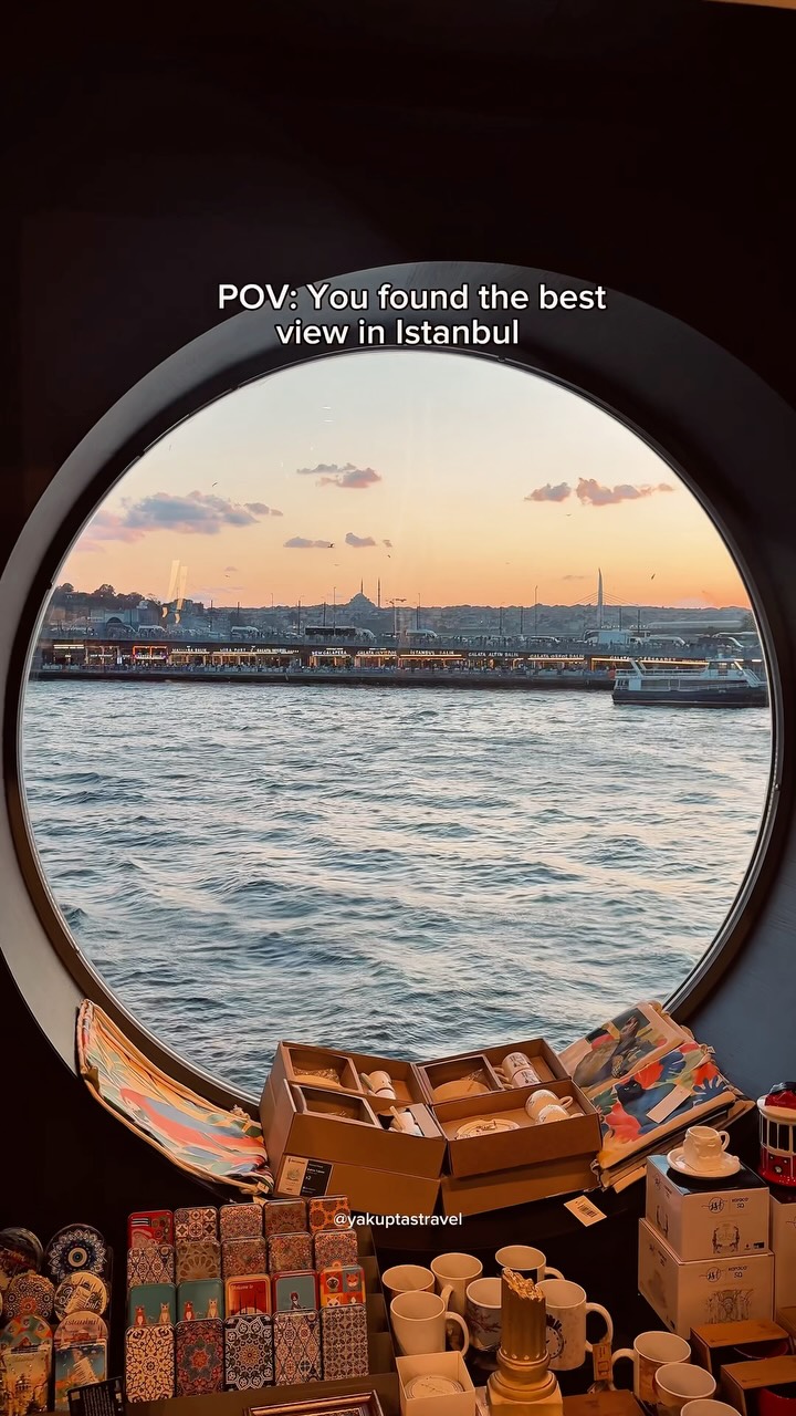 Bookstore With Galata Bridge View