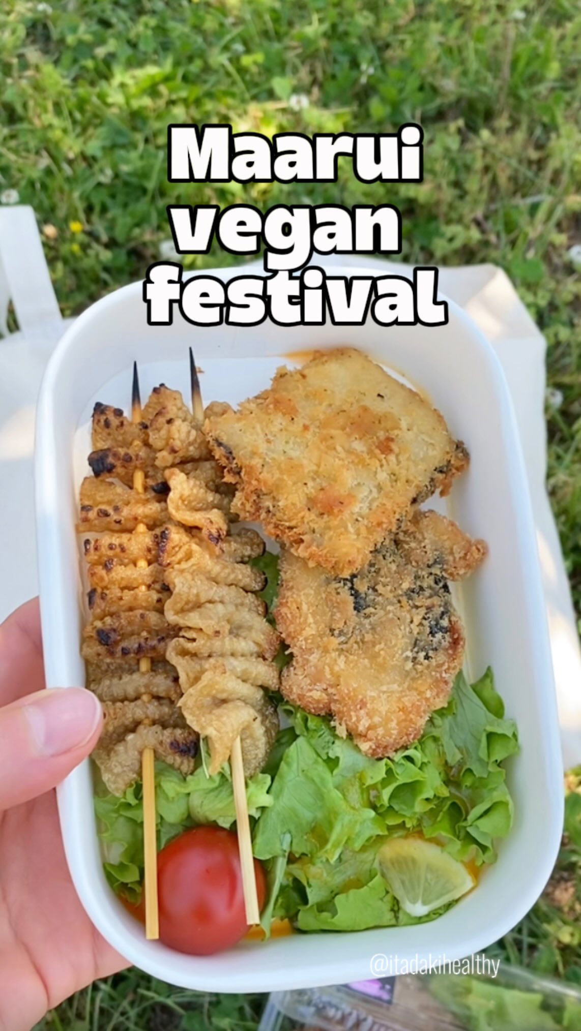Vegan Festival in Rural Japan with Community and Food
