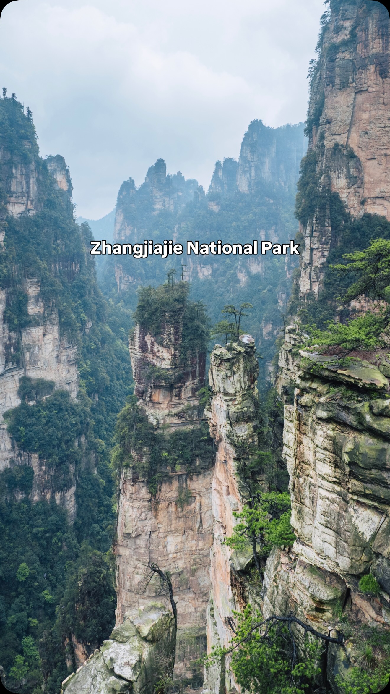 4 Parks in Zhangjiajie