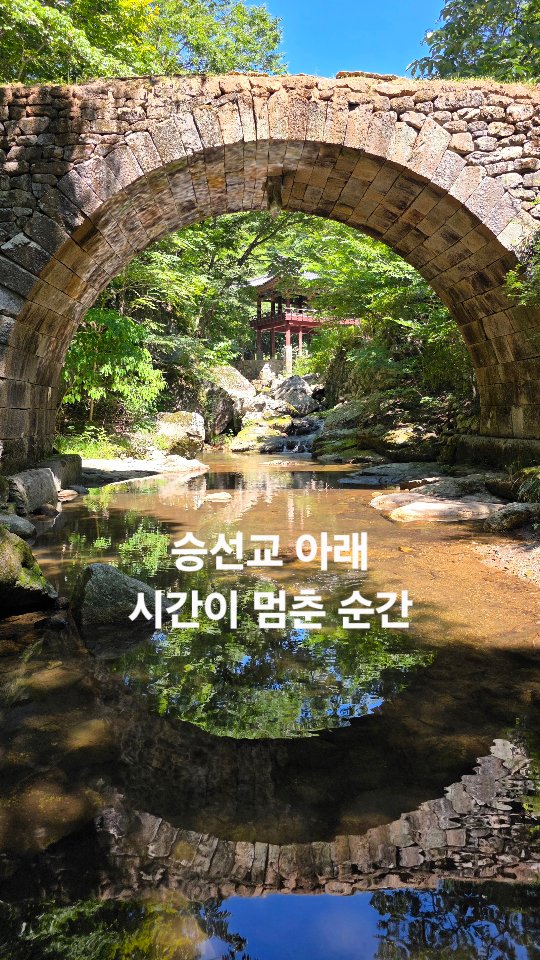 Seonamsa Temple's Beautiful Stone Bridge Reflection