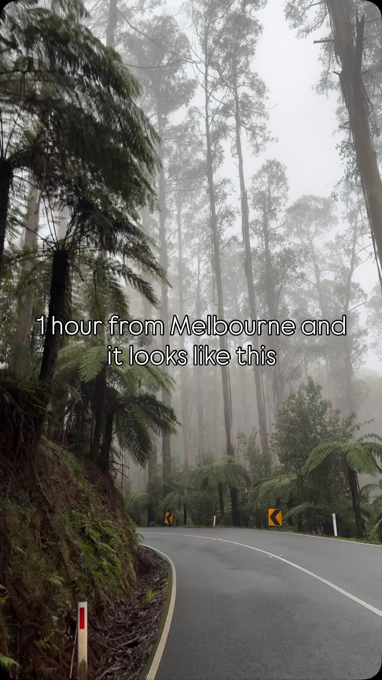 Scenic Warburton: An Underrated Day Trip Destination