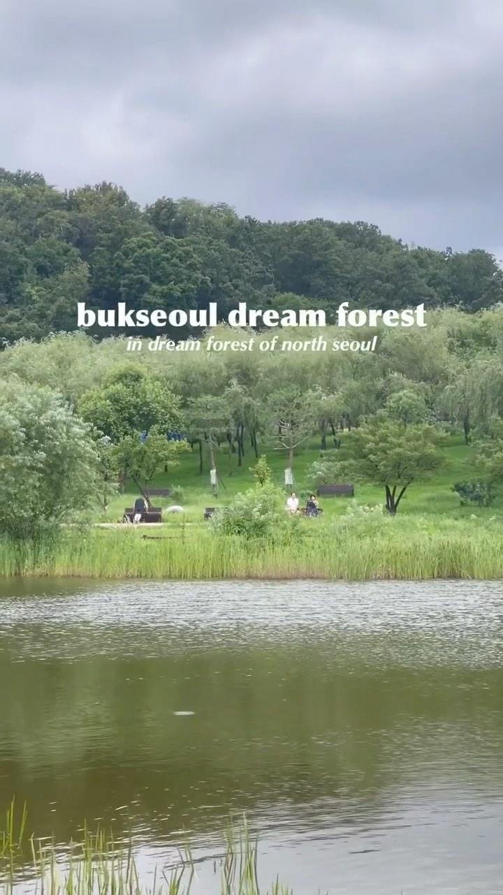 Dream Forest Weekend Getaway