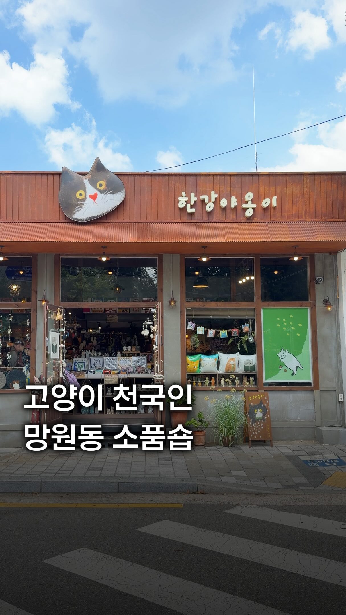 New Cat Gift Shop Opens Near Mangwon Hangang Park