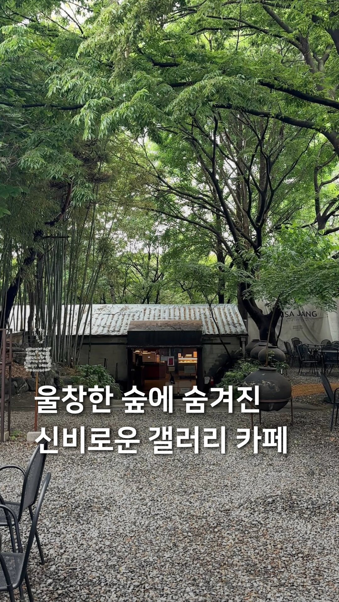 MISA JANG: A Forest Gallery Cafe