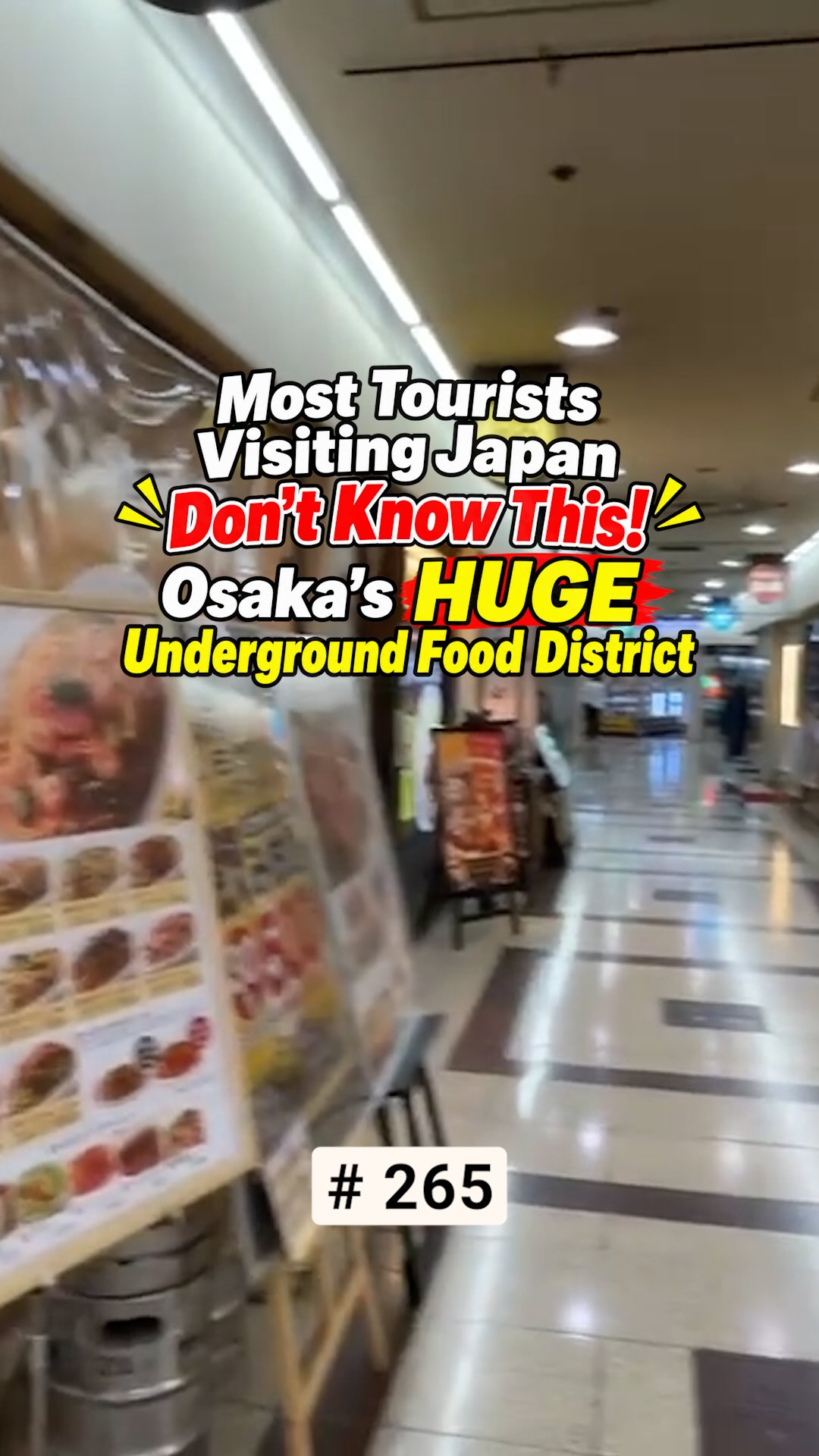 Osaka's Vast Underground Food Hub