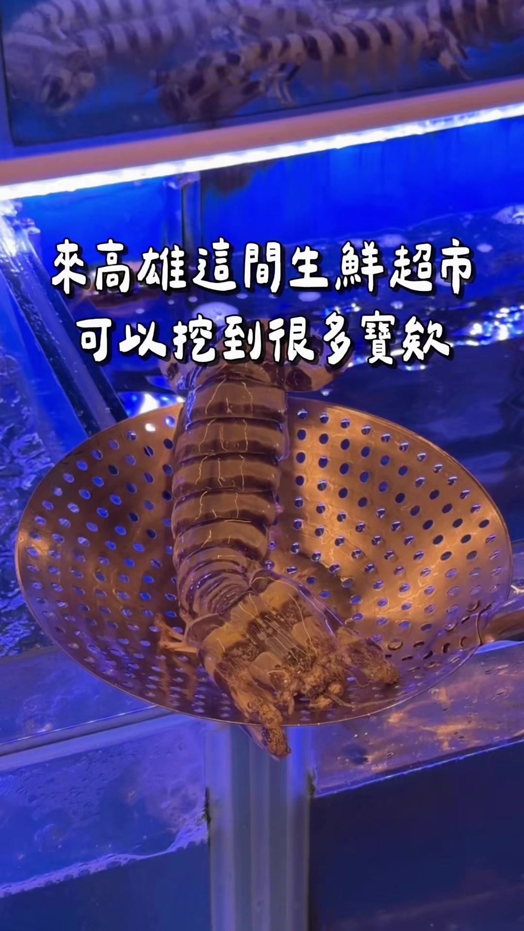 Kaohsiung Seafood Market Offers Fresh Catches and Cooking