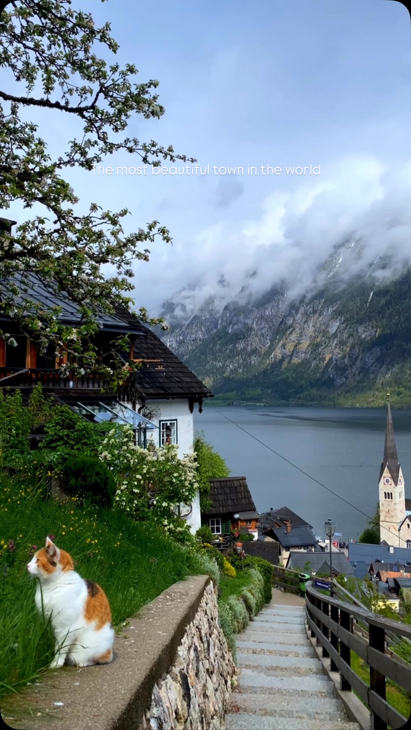 Hallstatt's Stunning Lake and Historic Town Views