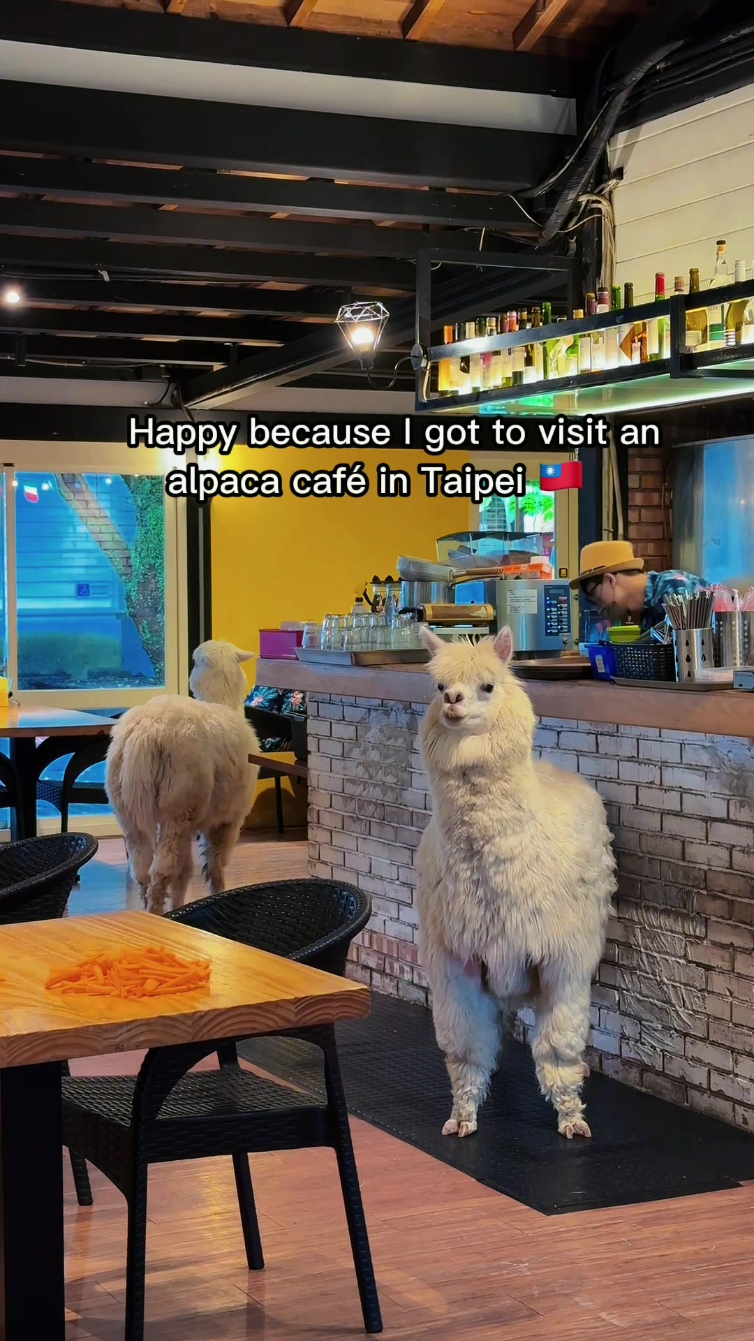 1 Restaurants in Taipei City