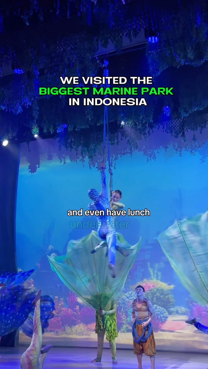 ON BALI | Bali Travel Tips & Media, Marine Safari Bali