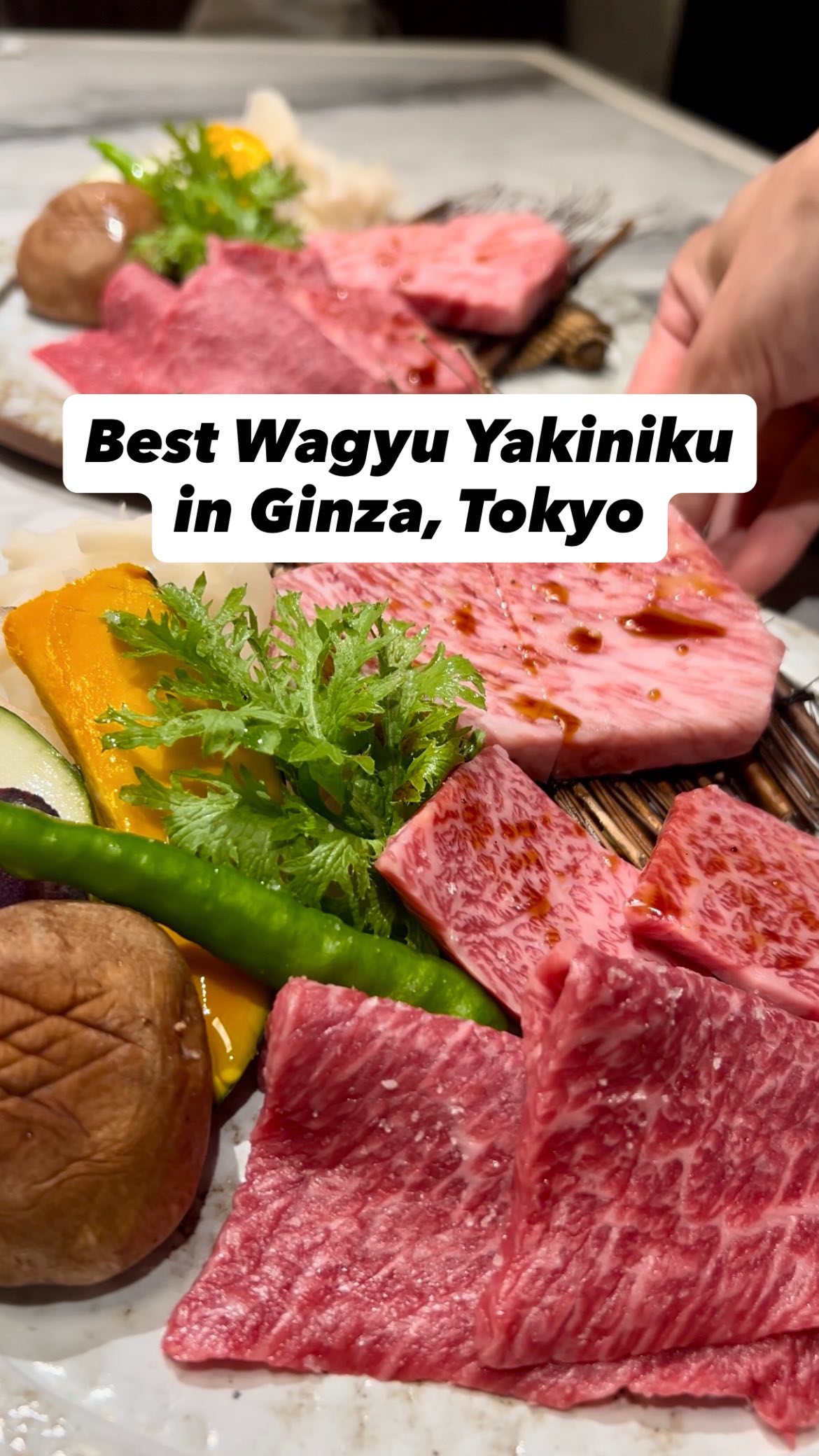 Premium Wagyu Yakiniku in Ginza