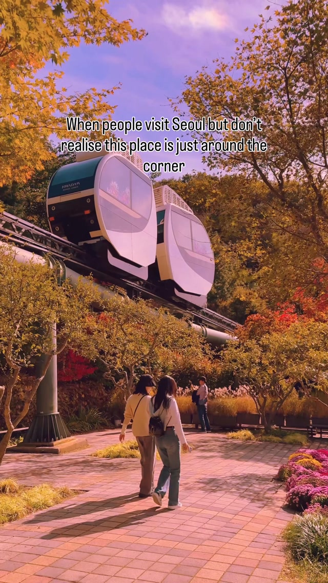 Hwadamsup Forest And Gwangju's Autumn Beauty