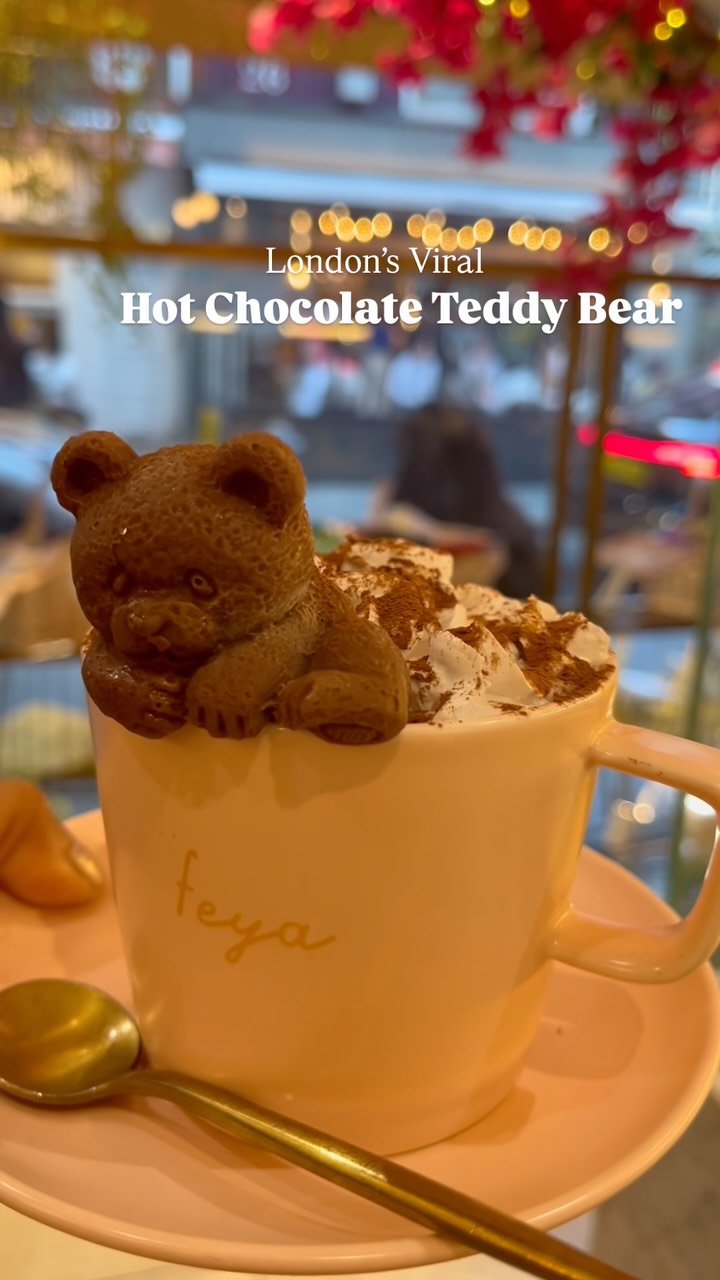 Feya's Adorable And Delicious Hot Chocolate Teddy Bear