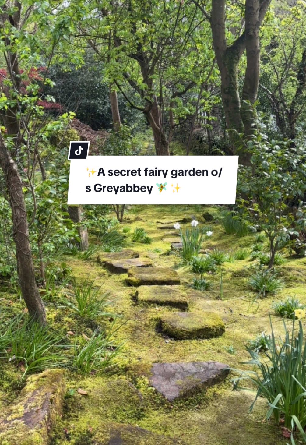 Magical Fairy Garden Features Wildlife And Flowers