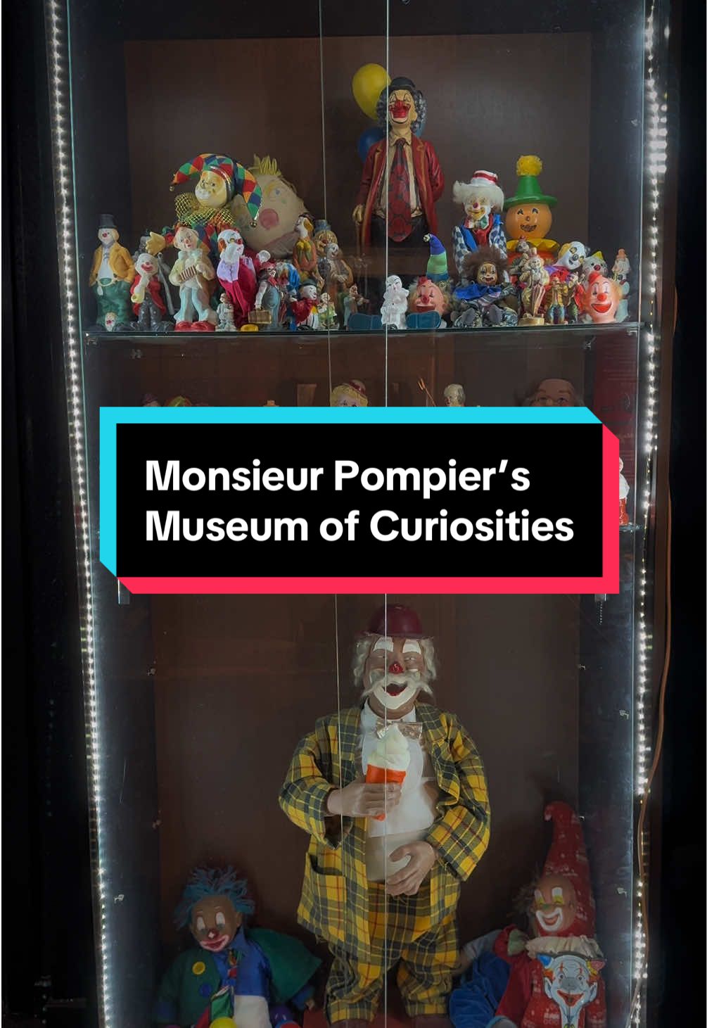 Dublin's Museum of Curiosities Features Oddities