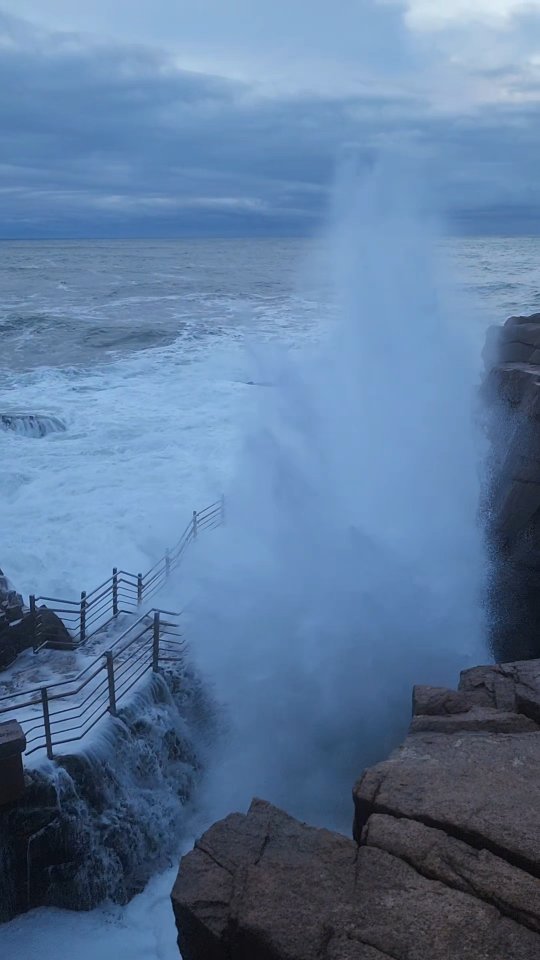 Coastal Beauty At Acadia National Park