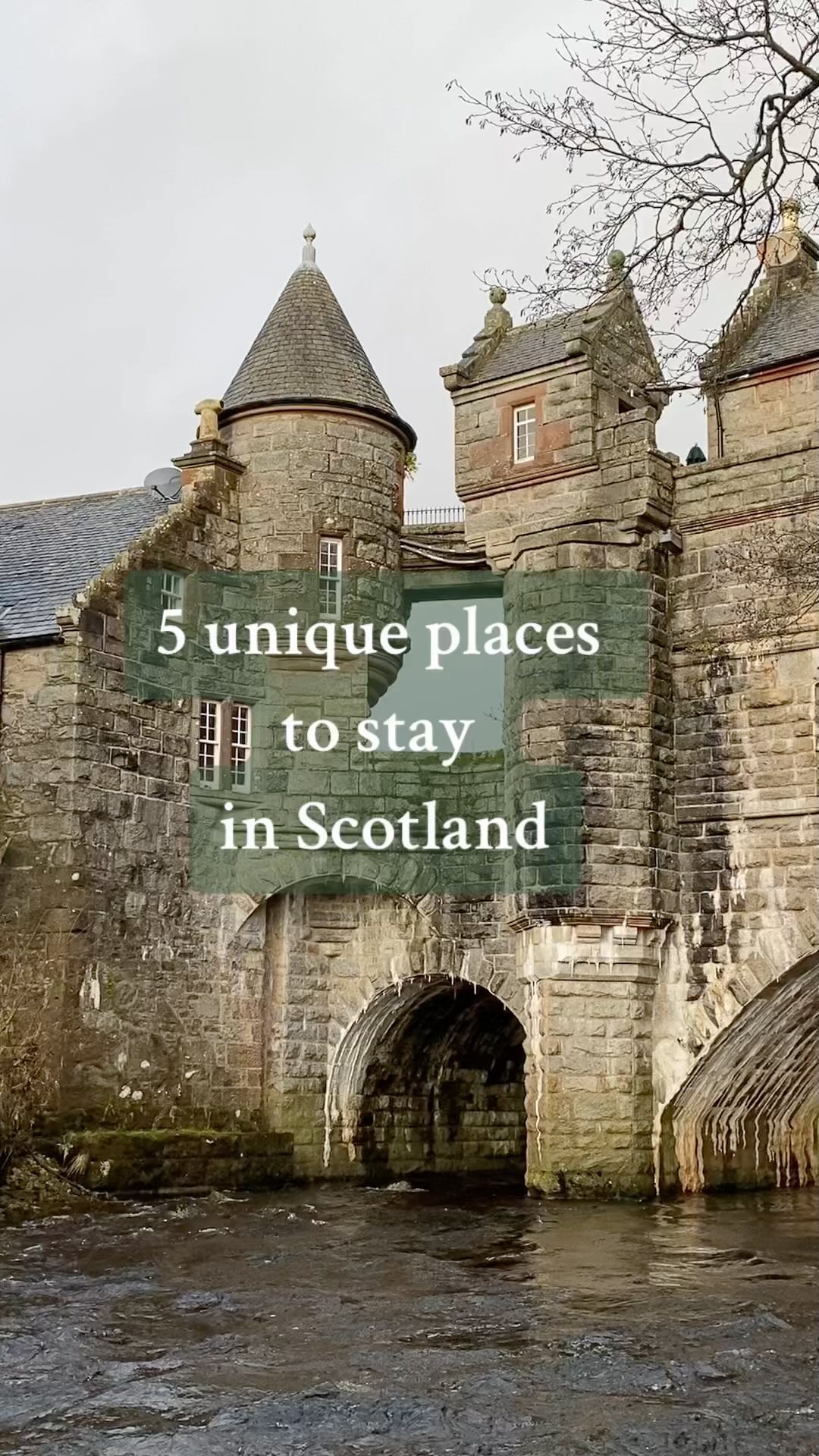 Dog-Friendly Stays In Scotland