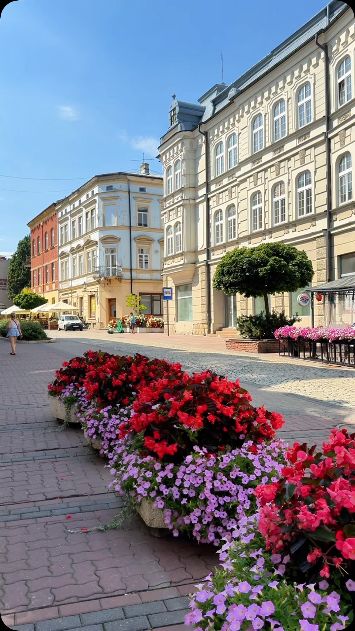 Explore Tarnów: Poland's Underrated Renaissance Gem