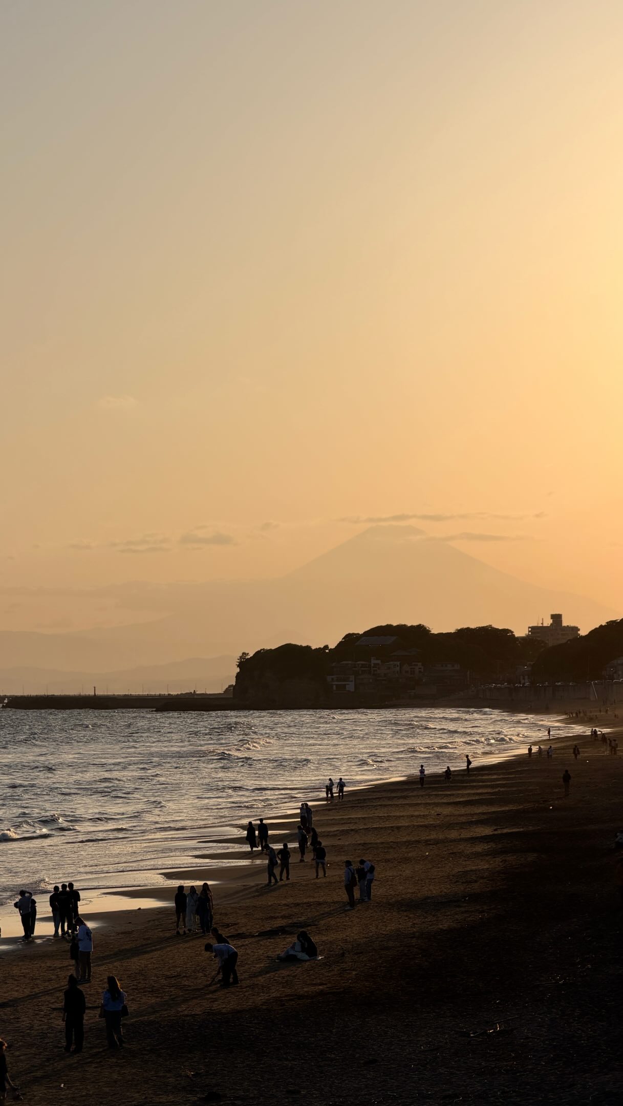 Kamakura's Coastal Charm and Fujimi Beach Views