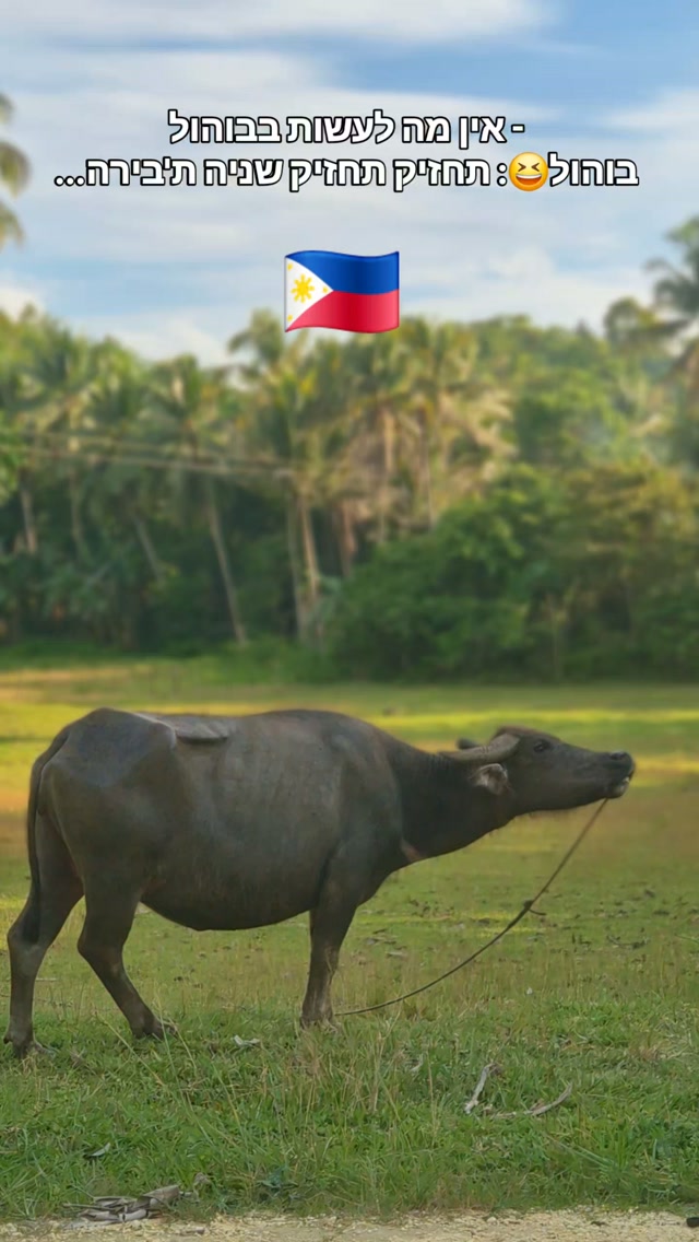 8 Landmarks in Central Visayas