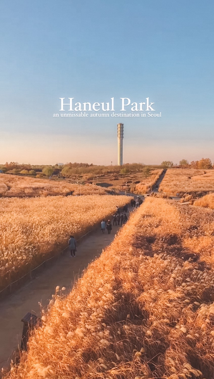 Haneul Park's Stunning Autumn Grass and Tree Colors