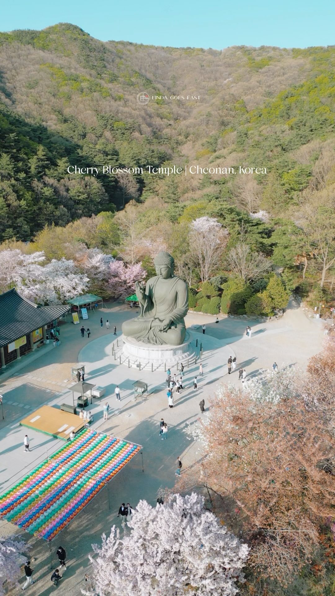 Gakwonsa Temple: A Beautiful Cherry Blossom Destination