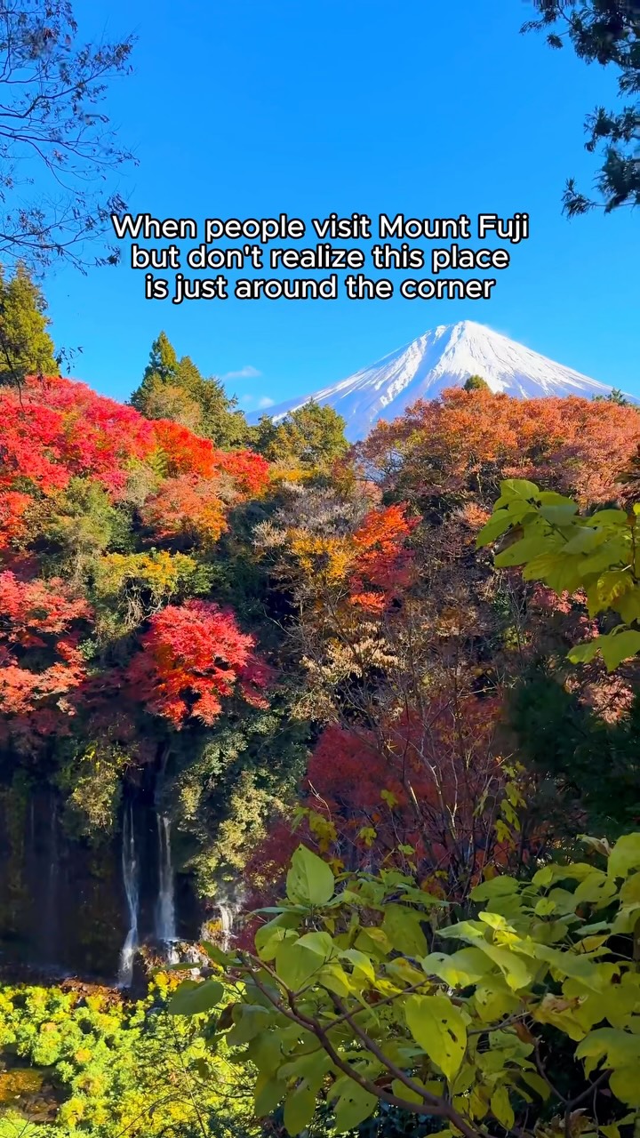 4 Attractions in Japan