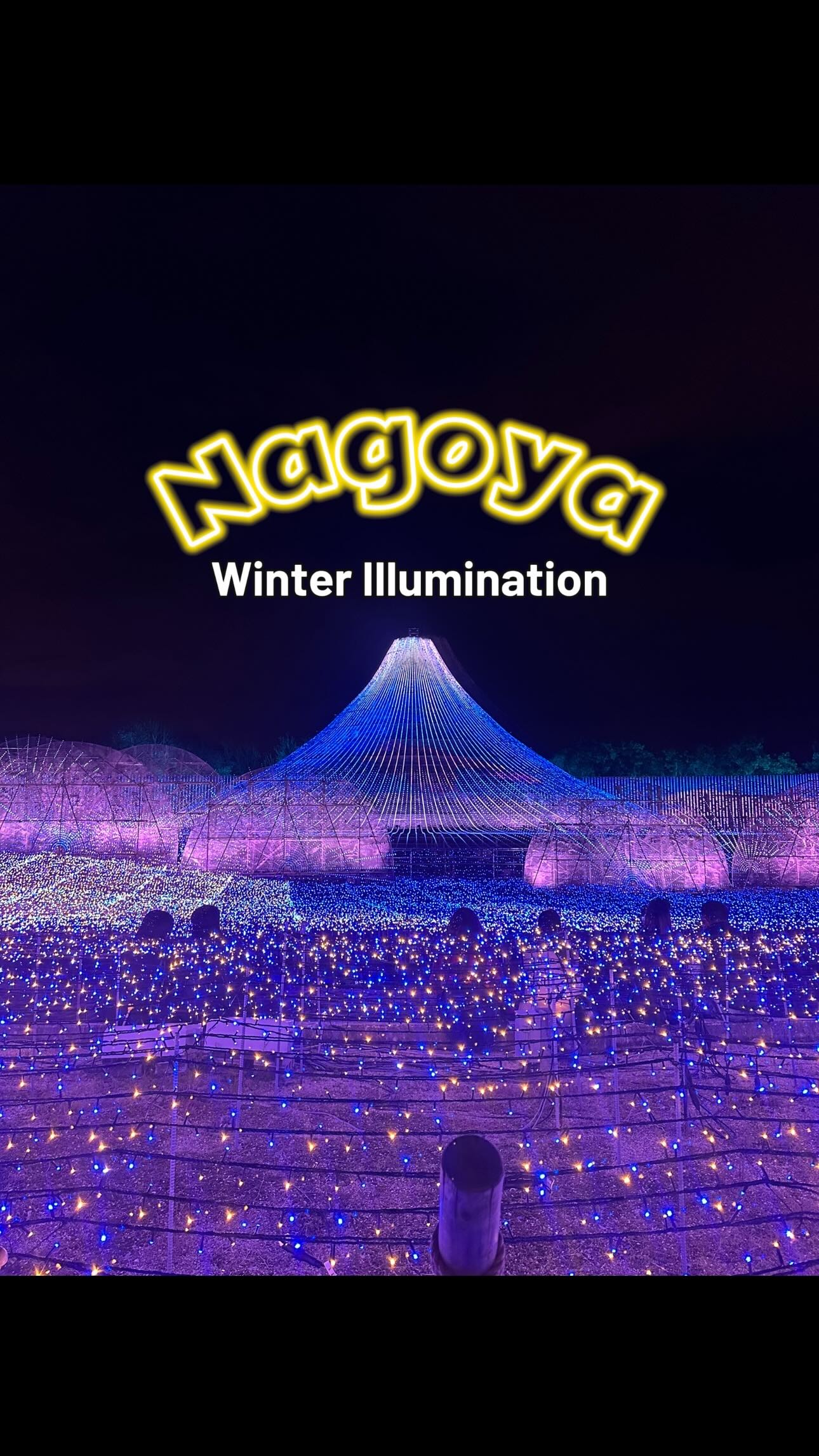 Nabana no Sato & Jazz Dream Nagashima Winter Lights