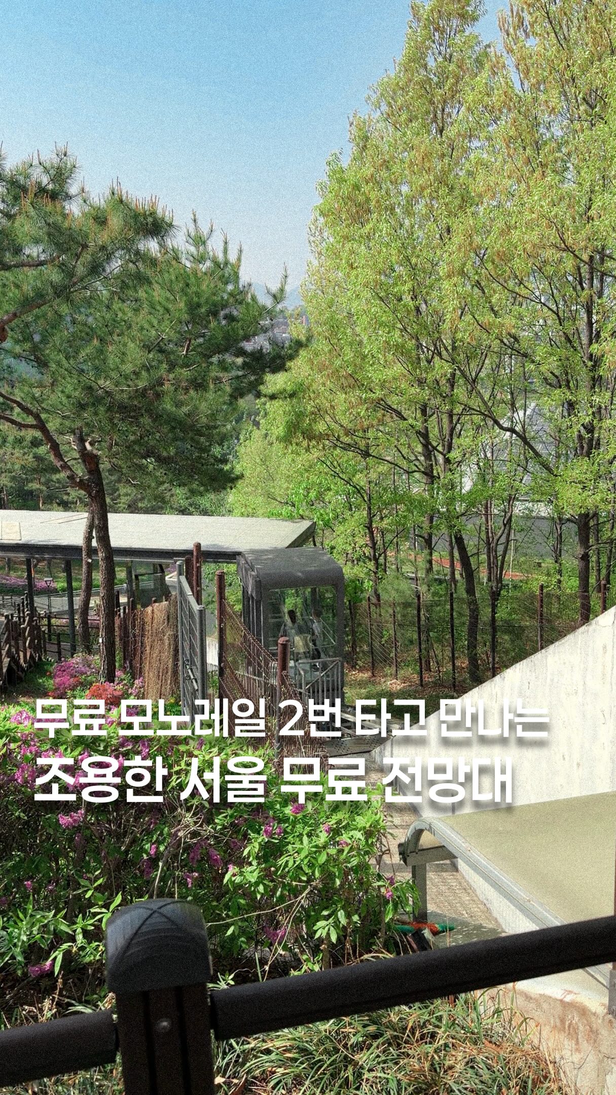 Dream Forest: Free Observatory With Scenic Views