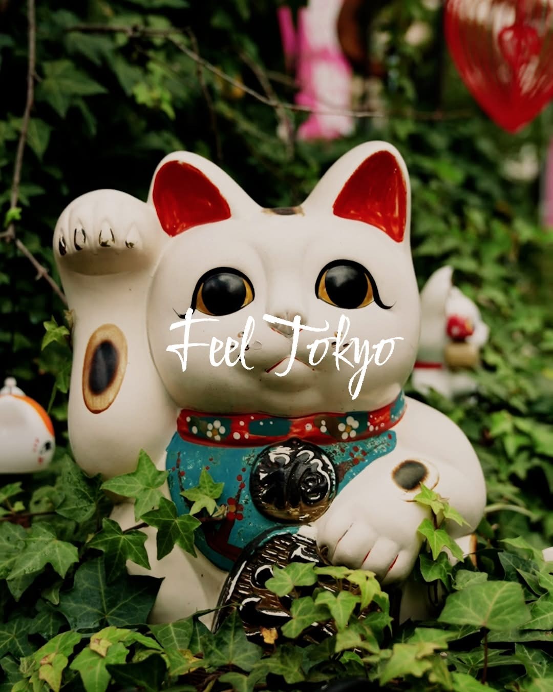 Lucky Cat Shrines and Cafes in Tokyo