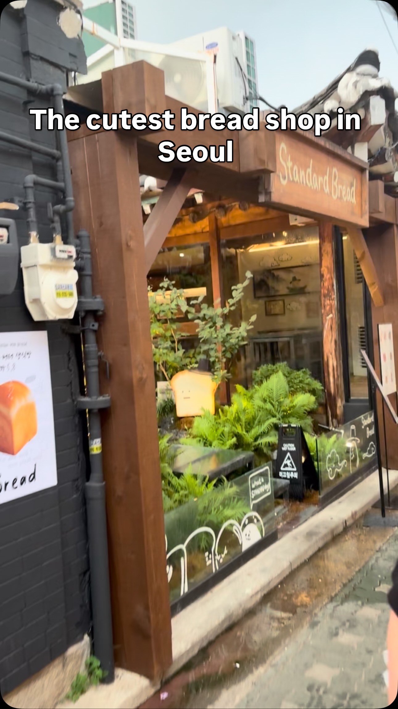 Seoul Bakery Featuring Cute Character Breads