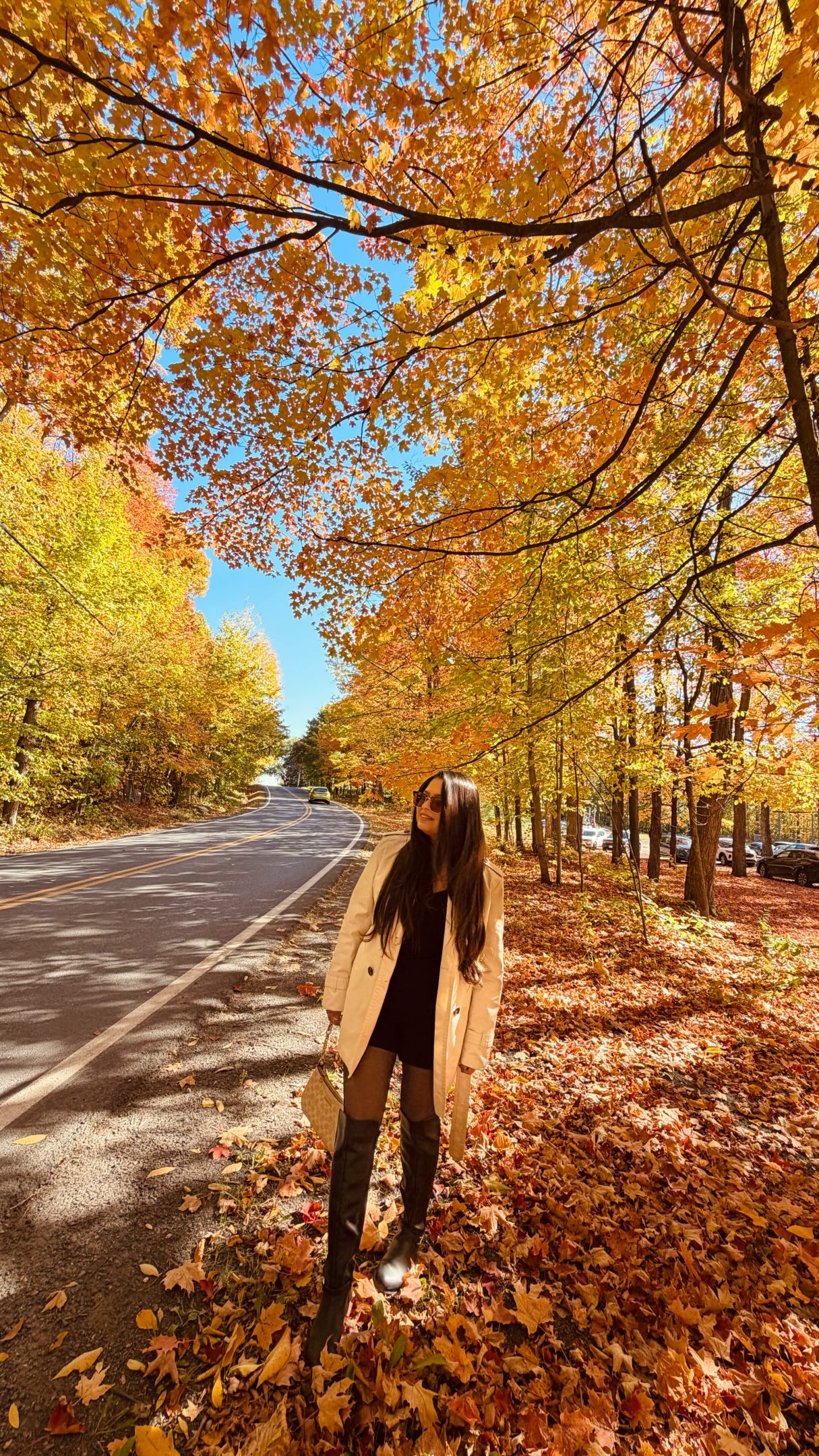 Quebec's Best Fall Foliage Spots