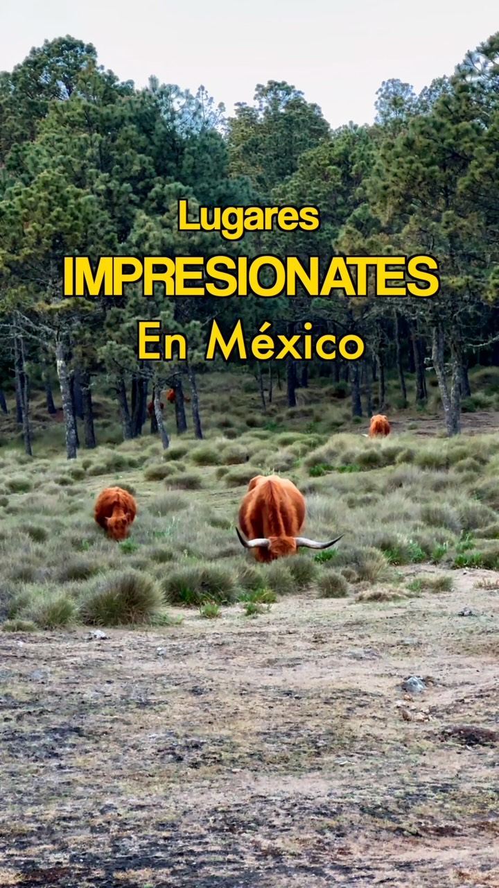 Valle Alegre: Wildlife Reserve and Glamping Oasis